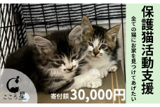【お礼の品なし】保護猫活動支援〜野良猫から地域で見守るさくら猫に〜 寄付額30,000円 | 猫 保護猫 保護猫活動 動物愛護 野良猫 里親 特定非営利活動法人 NPO法人 こころ星 埼玉県 東松山市