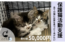 【お礼の品なし】保護猫活動支援〜野良猫から地域で見守るさくら猫に〜 寄付額50,000円 | 猫 保護猫 保護猫活動 動物愛護 野良猫 里親 特定非営利活動法人 NPO法人 こころ星 埼玉県 東松山市