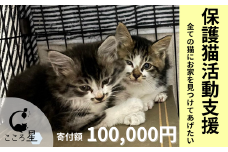 【お礼の品なし】保護猫活動支援〜野良猫から地域で見守るさくら猫に〜 寄付額100,000円 | 猫 保護猫 保護猫活動 動物愛護 野良猫 里親 特定非営利活動法人 NPO法人 こころ星 埼玉県 東松山市