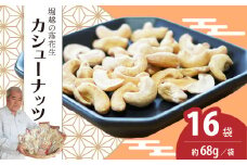 カシューナッツ 16袋 約68g/袋 計約1088g | カシューナッツ おつまみ ナッツ類 栄養 たんぱく質 無塩 素焼き 自家焙煎 タンパク質 コレステロール 香ばしい お菓子 コーヒータイム お酒 ギフト プレゼント おすそ分け 贈答用 埼玉県 東松山市 ネイブルホリコシ 