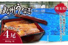 武州うなぎ 国産うなぎ蒲焼 中サイズ 4尾 冷凍真空パック（約120g） | うなぎ 国産うなぎ 蒲焼き 特選 ギフト 父の日 母の日 誕生日 お祝い 土用の丑の日 御歳暮 お歳暮 中サイズ 冷凍 真空パック レンジ対応 美味しい グルメ 家庭用 選べる尾数 埼玉県 東松山市