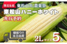 【先行予約】東松山ハニーホワイト 5本 | ハニーホワイト とうもろこし 白とうもろこし トウモロコシ フレッシュ 野菜 甘い  新鮮 栄養 栽培 効能 タンパク質 ご飯 茹で方 生産 おやつ サラダ 種類 スープ スナック 粒 品種 実 料理 レシピ 夏野菜 限定 朝採れ 採れたて 旬の野菜 直送 農家直送 ジューシー 人気 期間限定 数量限定 贈り物 東松山市 埼玉県