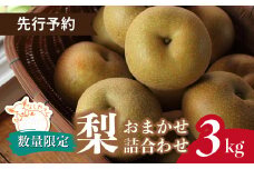 ＼先行予約 / 限定10箱／ 梨 おまかせ詰合せ 約3kg(6～9個入り) 東松山市産 | なし ナシ 幸水 彩玉 豊水 秋麗 あきづき 新高 甘太 和梨 果物 フルーツ 新鮮 自然栽培 農園直送 産地直送 農家直送 限定 期間限定 数量限定 贈答 贈り物 プレゼント ギフト 旬 甘い デザート お取り寄せ なしやさん 埼玉県 東松山市