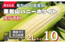 【先行予約】東松山ハニーホワイト 10本 | ハニーホワイト とうもろこし 白とうもろこし トウモロコシ フレッシュ 野菜 甘い 新鮮 栄養 栽培 効能 タンパク質 ご飯 茹で方 生産 おやつ サラダ 種類 スープ スナック 粒 品種 実 料理 レシピ 夏野菜 限定 朝採れ 採れたて 旬の野菜 直送 農家直送 ジューシー 人気 期間限定 数量限定 贈り物 東松山市 埼玉県