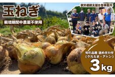 玉ねぎ3㎏ | 玉ねぎ たまねぎ タマネギ ケルたま アトン 栽培期間中農薬不使用 化学肥料不使用 新鮮 やさい 野菜 国産野菜 おいしい 新鮮 産地直送 お取り寄せ 埼玉県 東松山市