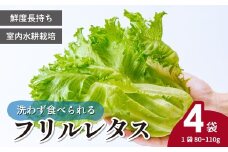 ＜洗わず食べられる・室内水耕栽培＞ フリルレタス 4袋(80～110g/袋) | レタス 洗わずに食べられる 新鮮レタス オーガニック野菜 無農薬 野菜直送 フレッシュ サラダ用野菜 健康志向 こだわり フレッシュ 産地直送 食品ギフト セット 緑黄色野菜 新鮮 安心野菜 旬 低カロリー レタスボウル カロテン 埼玉県 東松山市