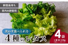 ＜洗わず食べられる・室内水耕栽培＞ 4種のレタス 4袋(80～130g/袋) | レタス フリルレタス グリーンジャケット グリーンリーフ サラダ菜 グリーンオーク 新鮮レタス オーガニック野菜 野菜直送 フレッシュ サラダ用野菜 健康志向 こだわり フレッシュ 産地直送 食品ギフト セット 緑黄色野菜 新鮮 安心野菜 旬 低カロリー レタスボウル カロテン 埼玉県 東松山市