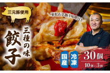 冷凍餃子 30個 (肉餃子10個・野菜餃子10個・みそだれ餃子10個) | 餃子 ぎょうざ ギョウザ 冷凍 冷凍食品 国産豚 国産 野菜 肉 みそだれ 大容量 おかず おつまみ ビール 詰め合わせ 辛味噌 惣菜 味噌 名店 保存 家族 BBQ バーベキュー とんかつぼたん 埼玉県 東松山市 