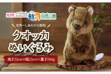 クオッカぬいぐるみ | ぬいぐるみ クオッカ こども動物自然公園 プレゼント オリジナル グッズ ホビー 動物 小サイズ かわいい クオッカグッズ 埼玉県こども自然動物公園 埼玉県 東松山市