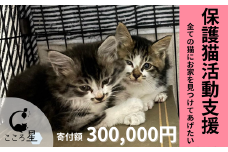 【お礼の品なし】保護猫活動支援〜野良猫から地域で見守るさくら猫に〜 寄付額300,000円 | 猫 保護猫 保護猫活動 動物愛護 野良猫 里親 特定非営利活動法人 NPO法人 こころ星 埼玉県 東松山市