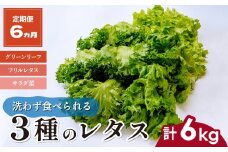 【定期便6ヵ月】 ＜洗わず食べられる・室内水耕栽培＞ 3種のレタス 1回1kg(500g×2袋)×6ヵ月 | レタス 野菜 大容量 新鮮レタス オーガニック野菜 無農薬 野菜直送 フレッシュ サラダ サラダ用野菜 健康志向 こだわり フレッシュ 産地直送 食品ギフト セット 緑黄色野菜 新鮮 安心野菜 旬 低カロリー レタスボウル カロテン 定期便 スマイル農場 埼玉県 東松山市