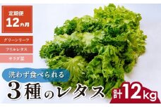 【定期便12ヵ月】 ＜洗わず食べられる・室内水耕栽培＞ 3種のレタス 1回1kg(500g×2袋)×12ヵ月 | レタス 野菜 大容量 新鮮レタス オーガニック野菜 無農薬 野菜直送 フレッシュ サラダ サラダ用野菜 健康志向 こだわり フレッシュ 産地直送 食品ギフト セット 緑黄色野菜 新鮮 安心野菜 旬 低カロリー レタスボウル カロテン 定期便 スマイル農場 埼玉県 東松山市