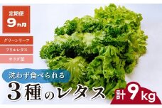 【定期便9ヵ月】 ＜洗わず食べられる・室内水耕栽培＞ 3種のレタス 1回1kg(500g×2袋)×9ヵ月 | レタス 野菜 大容量 新鮮レタス オーガニック野菜 無農薬 野菜直送 フレッシュ サラダ サラダ用野菜 健康志向 こだわり フレッシュ 産地直送 食品ギフト セット 緑黄色野菜 新鮮 安心野菜 旬 低カロリー レタスボウル カロテン 定期便 スマイル農場 埼玉県 東松山市