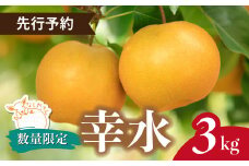 ＼先行予約 / 限定5箱／ 梨 幸水 約3kg(6～9個入り) 東松山市産 | なし ナシ こうすい 果物 フルーツ 新鮮 自然栽培 農園直送 産地直送 農家直送 限定 期間限定 数量限定 贈答 贈り物 プレゼント ギフト 旬 甘い デザート お取り寄せ なしやさん 埼玉県 東松山市