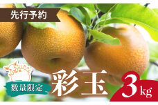 ＼先行予約 / 限定5箱／ 梨 彩玉 約3kg(5～7個入り) 東松山市産 | なし ナシ さいぎょく 果物 フルーツ 新鮮 自然栽培 農園直送 産地直送 農家直送 限定 期間限定 数量限定 贈答 贈り物 プレゼント ギフト 旬 甘い デザート お取り寄せ なしやさん 埼玉県 東松山市
