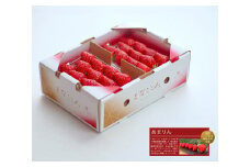 【先行予約】あまりん 【2パック】まなこころ・葵（260g【15～20粒】）｜ あまりん アマリン イチゴ 苺 いちご あおい 新鮮 中粒 箱 2P 真心農園 果物 フルーツ 自然 甘い 美味しい ジューシー ビタミン おいしい おすすめ 贈り物 ギフト 埼玉県 東松山市 