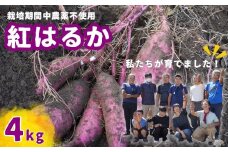 【数量限定50箱】さつまいも 紅はるか 4kg | 思いやり型返礼品 農福連携 さつまいも 紅はるか 生芋 栽培期間中農薬不使用 甘いさつまいも 焼き芋用 蒸し芋用 スイートポテト材料 お取り寄せ野菜 自然食品 国産さつまいも 産地直送 おうちごはん 季節の味覚 ホクホク食感 料理用さつまいも 天然スイーツ 野菜セット 埼玉県 東松山市