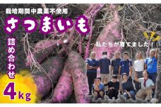【数量限定50箱】さつまいも 詰め合わせ 4kg |  思いやり型返礼品 農福連携 さつまいも 紅はるか 生芋 栽培期間中農薬不使用 詰め合わせ 甘いさつまいも 焼き芋用 蒸し芋用 スイートポテト材料 お取り寄せ野菜 自然食品 国産さつまいも 産地直送 おうちごはん 季節の味覚 ホクホク食感 料理用さつまいも 天然スイーツ 野菜セット 埼玉県 東松山市
