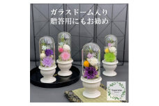 AJ016-1  プリザーブドフラワー　和花　紫　春日部市　シュガーパイン
