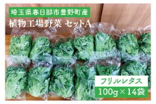 埼玉県春日部市豊野町産　植物工場野菜 セットA（AH001-1）