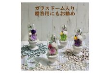 AJ100-1  プリザーブドフラワー　和花　桃　春日部市 シュガーパイン