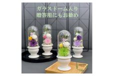 AJ125-1  プリザーブドフラワー　和花　緑　春日部市　シュガーパイン