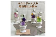 AJ126-1  プリザーブドフラワー　和花　うす紫　春日部市　シュガーパイン