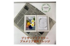 AJ128-1 プリザーブドフラワー【フォトフレーム・プルメリア】春日部市 シュガーパイン