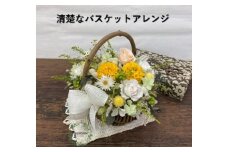 AJ132-1 プリザーブドフラワー【パニエ/イエロー】春日部市 シュガーパイン