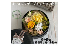 AJ134-1 プリザーブドフラワー【アムール/イエロー】春日部市 シュガーパイン