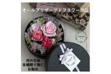AJ135-1 プリザーブドフラワー【アムール/ピンク】春日部市 シュガーパイン
