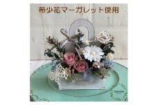 AJ149-1 プリザーブドフラワー　マノア　ホワイト  春日部市  シュガーパイン