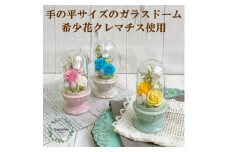 AJ181-1 プリザーブドフラワー　美羽　イエロー　春日部市 シュガーパイン
