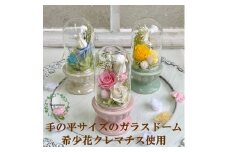 AJ182-1 プリザーブドフラワー　美羽　ピンク　春日部市 シュガーパイン