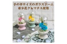 AJ183-1 プリザーブドフラワー　美羽　ブルー　春日部市 シュガーパイン