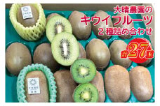【先行予約】「緑と味覚の里　内牧」大晴農園のキウイフルーツ2種詰め合わせ　27玉入り【2024年11月上旬より発送開始】（BY005）