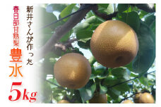 【数量限定】新井さんが作った春日部甘熟梨（豊水）5kg（CA001）