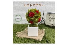 AJ184-1 プリザーブドフラワー【プティシュシュ/レッド】春日部市 シュガーパイン