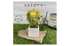 AJ187-1 プリザーブドフラワー【プティシュシュ/イエロー】春日部市 シュガーパイン