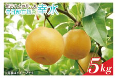 【数量限定】【関東地区限定】新井さんが作った春日部甘熟梨（幸水）5kg(CA002)