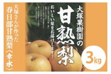 【関東地区限定】大塚さんが作った春日部甘熟梨（幸水）3kg(CW001-1)