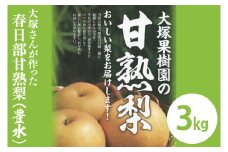 【関東地区以外限定】大塚さんが作った甘熟梨（豊水）3kg(CW002)