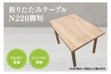 折りたたみテーブルN220脚短(BT008)
