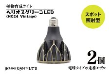 植物育成ライト「ヘリオスグリーンLED（Vintage）」２個セット（BN044）