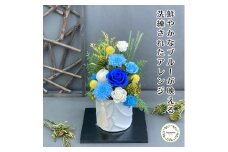 プリザーブドフラワー　青華（せいか）　春日部市　シュガーパイン（AJ266）