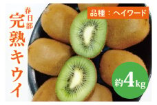 【先行予約】【12月上旬より発送開始】春日部完熟キウイ4kg(BG002）