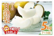 【8月下旬より発送】森田さんが作った☆春日部甘熟梨5kg☆（7~14玉）(BG001-1)