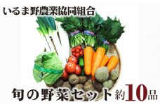 旬の野菜セット 10品程度 | 野菜 季節 旬 農業 農産物 新鮮 詰め合わせ セット いるま野農業協同組合 埼玉県 狭山市