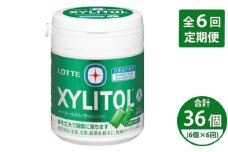 【定期便全6回】2ヶ月に1回お届け！キシリトールガム ライムボトル 6個 | ガム キシリトール ライム ミント お菓子 おやつ 特定保健用食品 LOTTE 株式会社ロッテ 埼玉県 狭山市