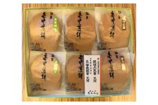 亀甲煎餅 15枚入 | せんべい 高級 手焼き お歳暮 お中元 贈り物 ギフト 甘味 小麦粉 抹茶 ほうじ茶 株式会社亀屋本店 埼玉県 狭山市